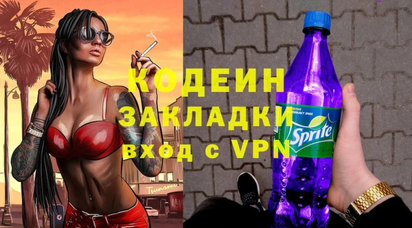 сатива Лабытнанги