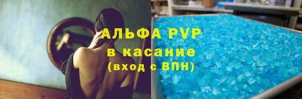 ГАЛЛЮЦИНОГЕННЫЕ ГРИБЫ Ельня
