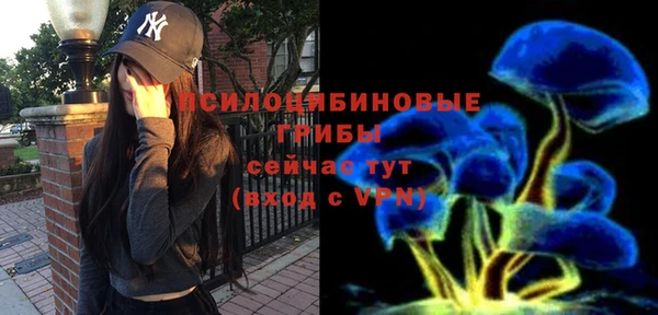 твердый Белокуриха