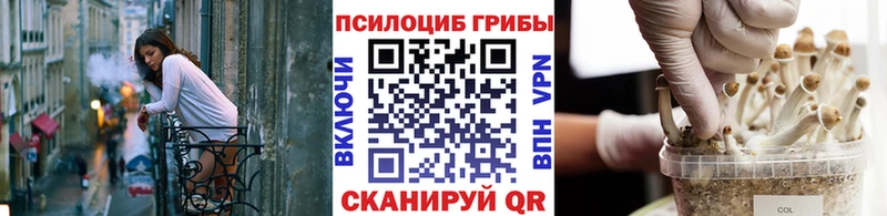 Псилоцибиновые грибы Psilocybine cubensis  MEGA tor  Белоусово 